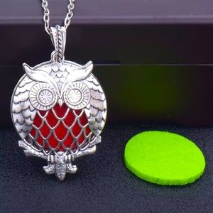 Zinc Alloy Vintage Owl Aromatherapy Owl Diffuser Pendant Locket Necklace
